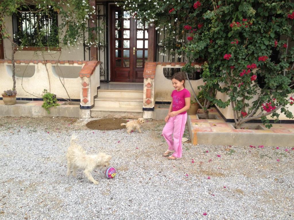 Bed and Breakfast Dar Salima Mornag Екстер'єр фото